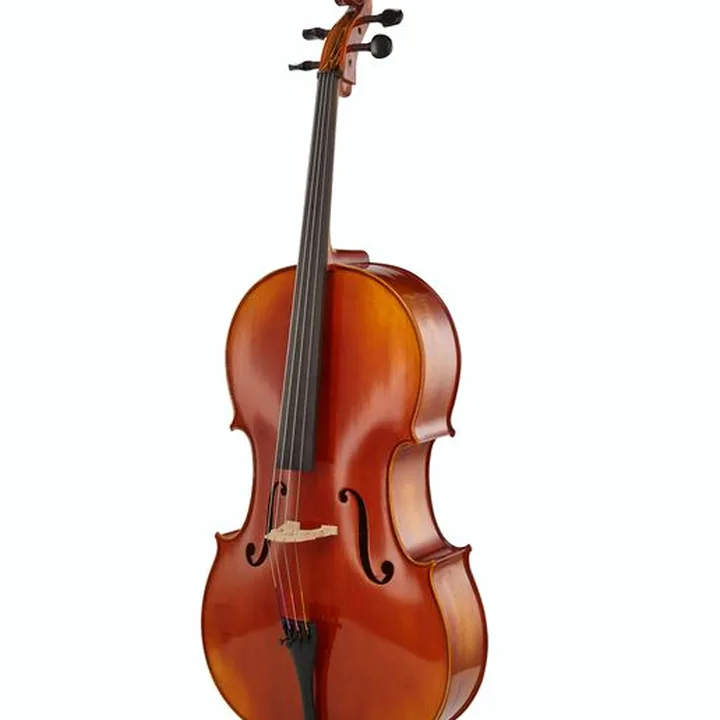 Violoncelle Gewa Maestro 1 Cello 3/4 – Test, Avis et Comparatif