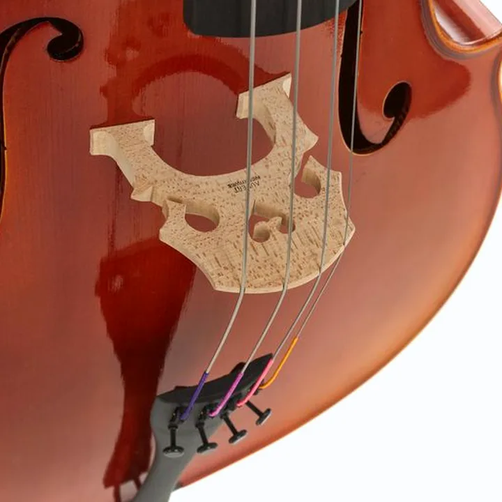 Violoncelle Gewa Maestro 1 Cello 3/4 – Test, Avis et Comparatif