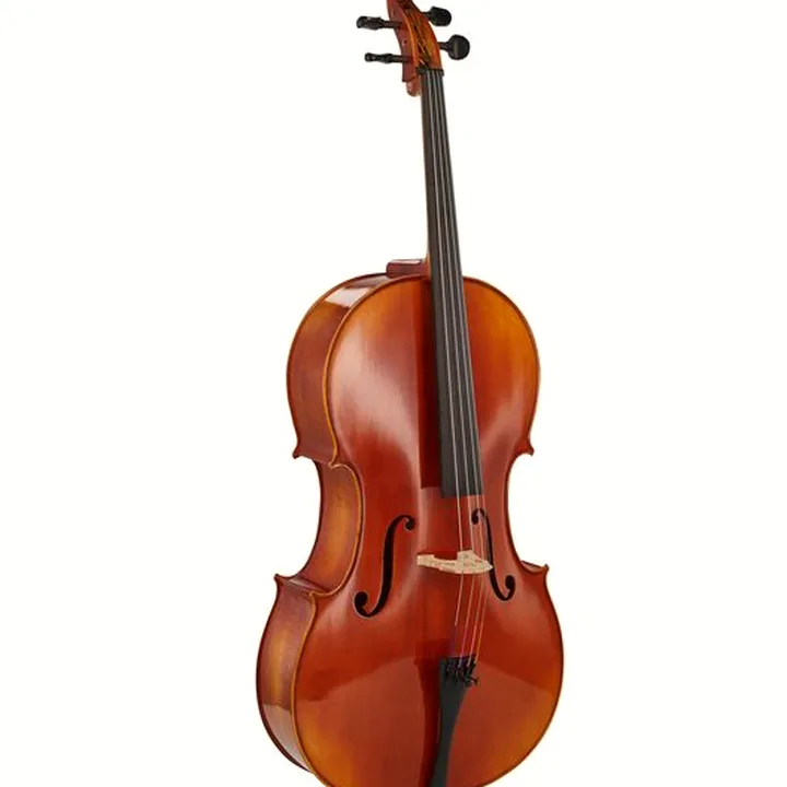 Violoncelle Gewa Maestro 1 Cello Set 3/4 CB Test, Comparatif et Avis