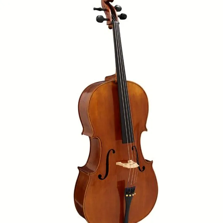 Violoncelle Hidersine Veracini Cello Set 4/4 – Avis, Test, Comparatif