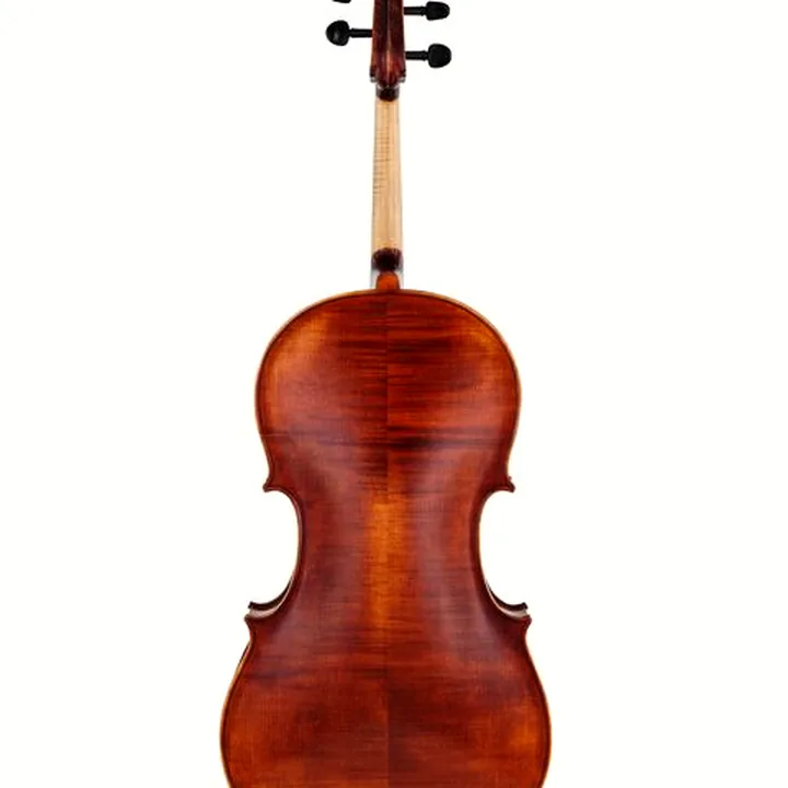 Violoncelle Roth & Junius Europe Orchestra Cello An/Eb , Test, Comparatif et Avis